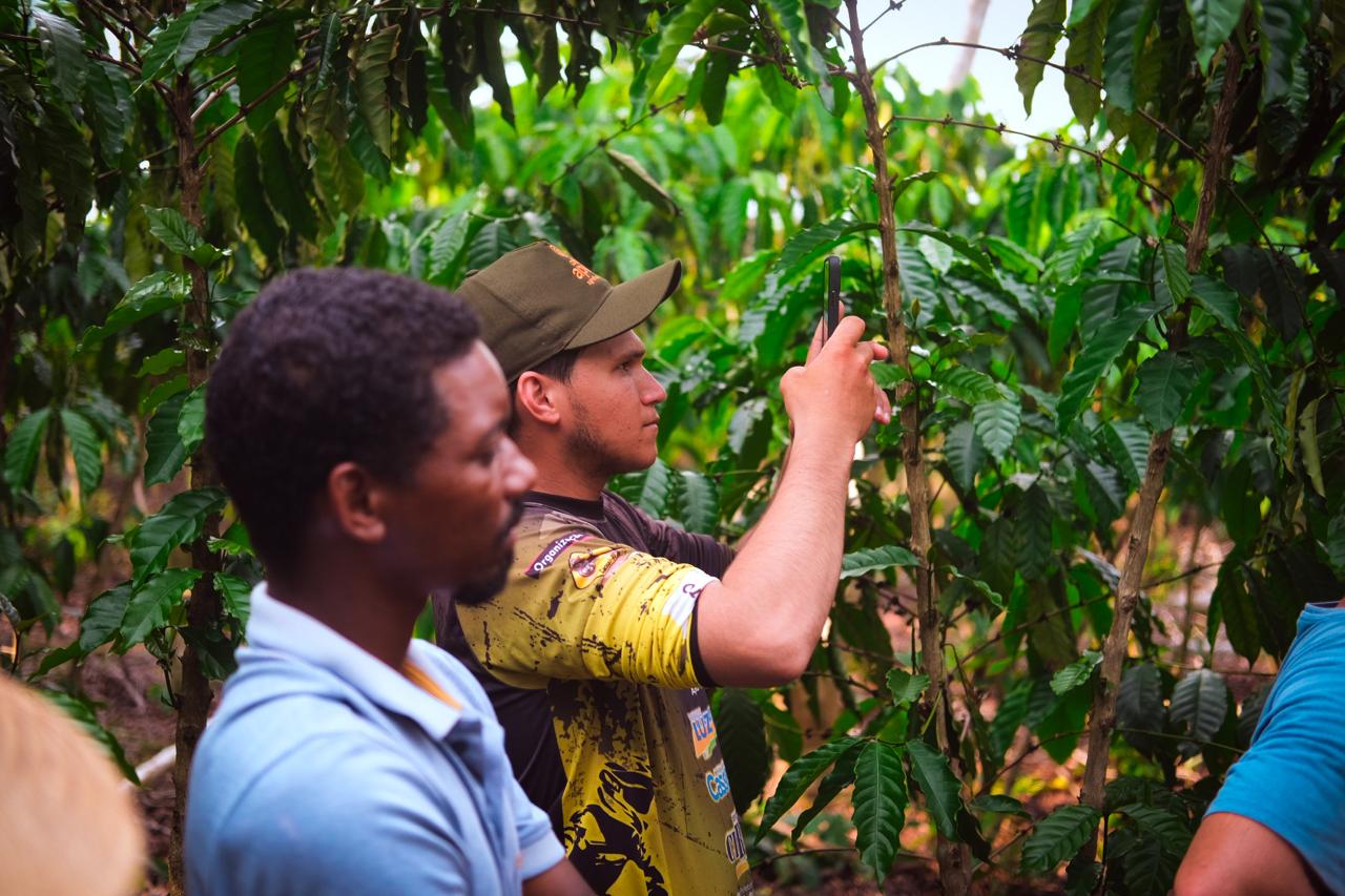 Café de Apuí mostra como acordos justos fortalecem a bioeconomia e inspiram a COP30