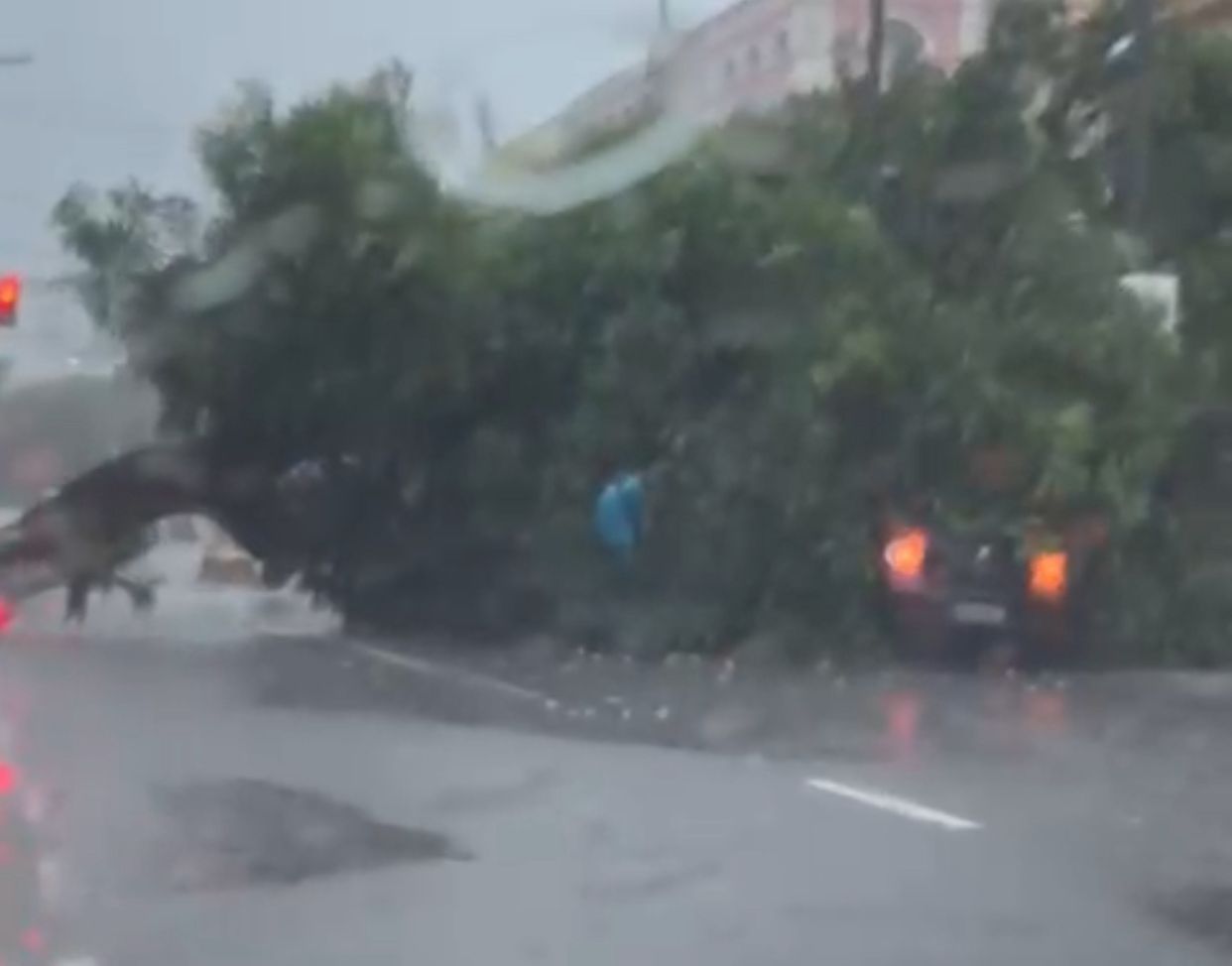 VÍDEO: Árvore cai sobre carro e bloqueia rua no Centro de Manaus durante chuva
