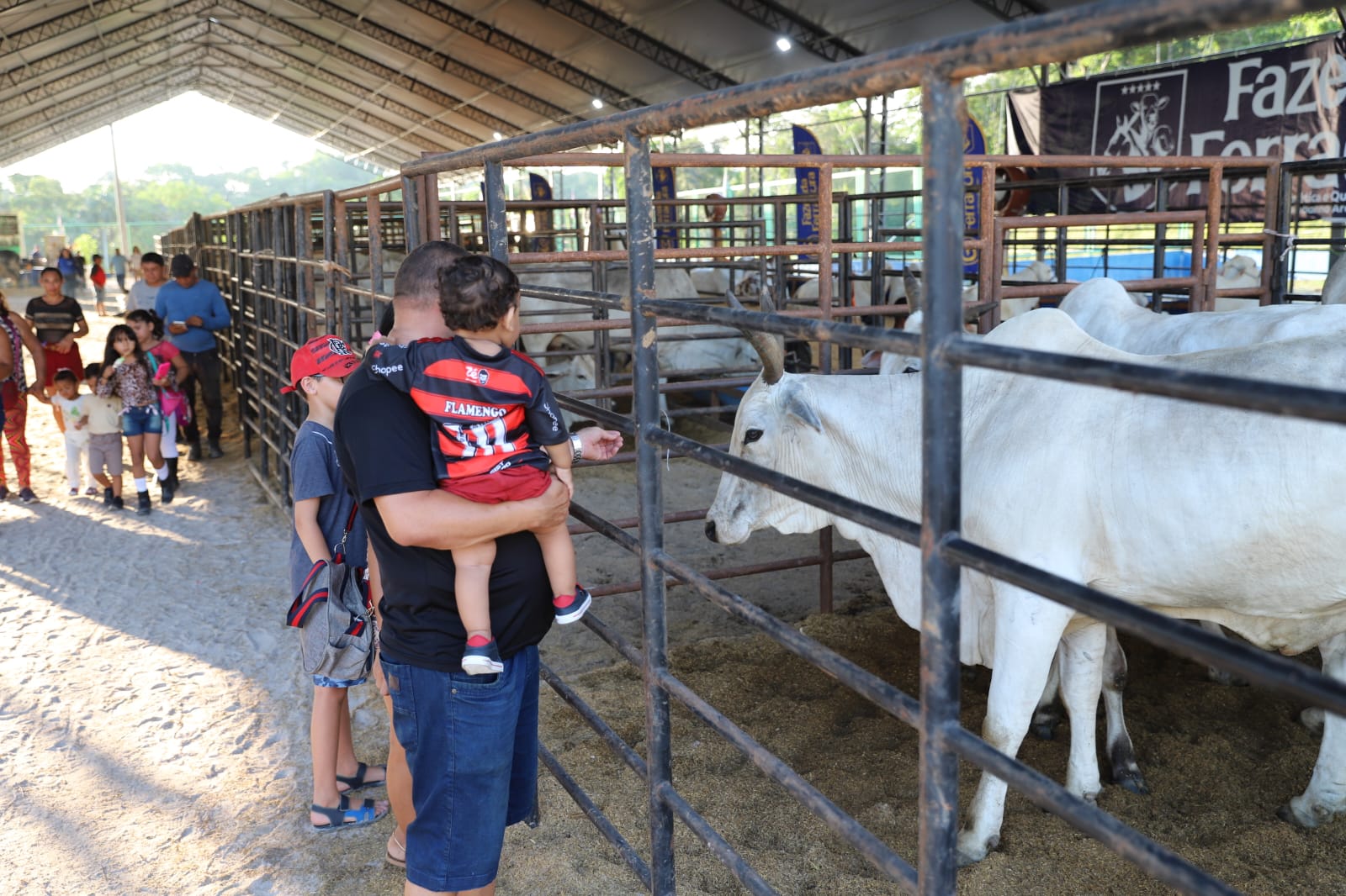 Expoagro 2025 em Manaus exibe 745 animais e destaca avanço da pecuária no AM
