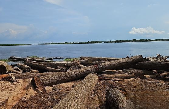 Ipaam aplica R$ 7,3 milhões em multas na Operação Região Metropolitana