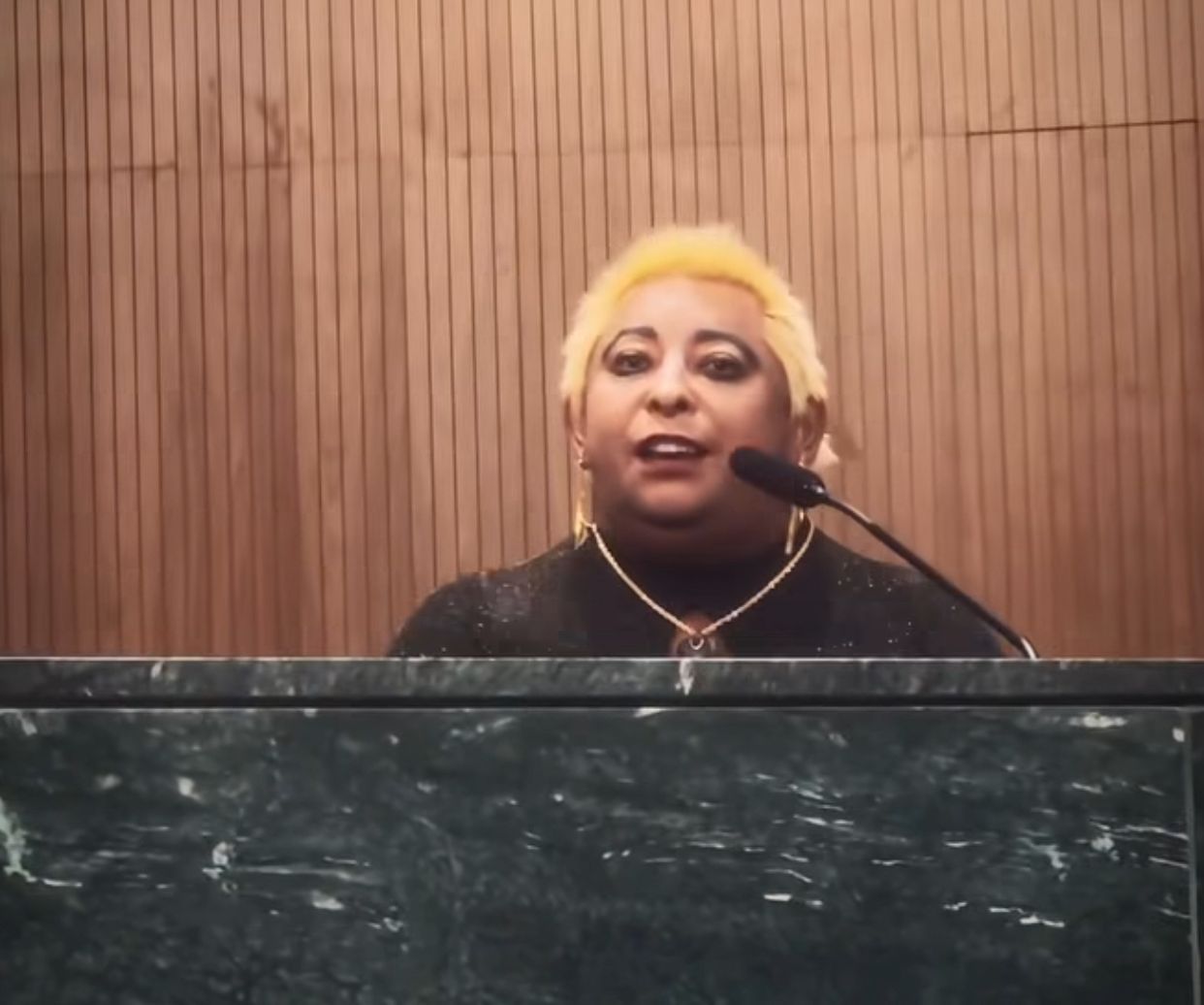 Patixa Teló discursa durante homenagem a dentistas na Assembleia Legislativa de Goiás