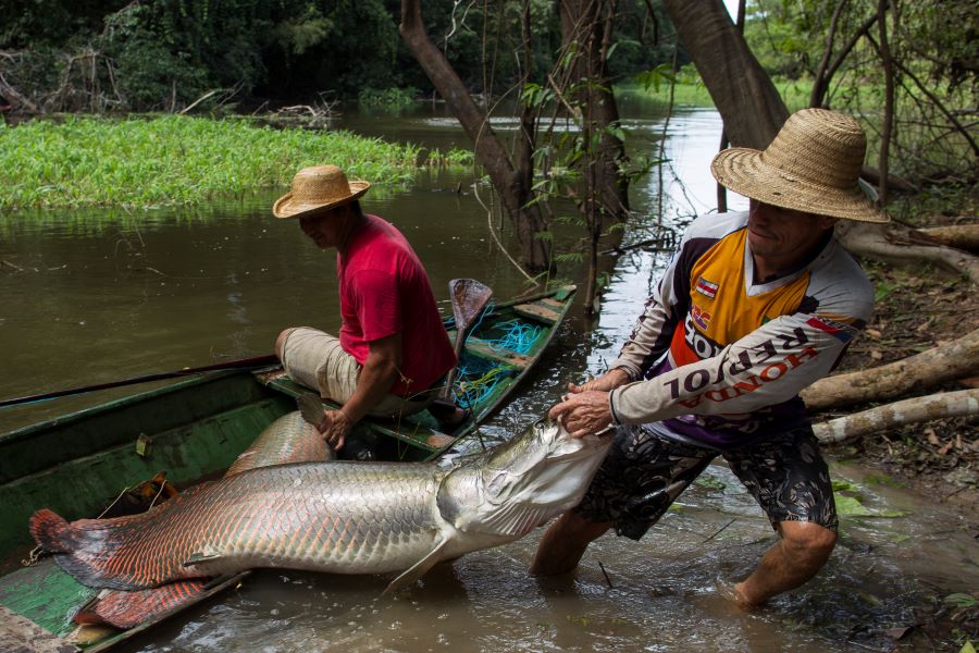 Pescadores terão direito ao seguro-defeso no AM