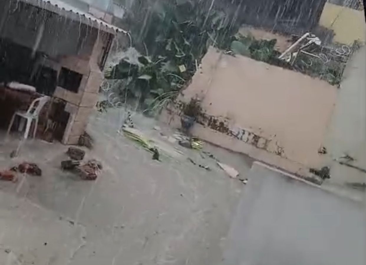 VÍDEOS: Chuva forte alaga ruas, causa enxurradas e derruba árvore em Manaus