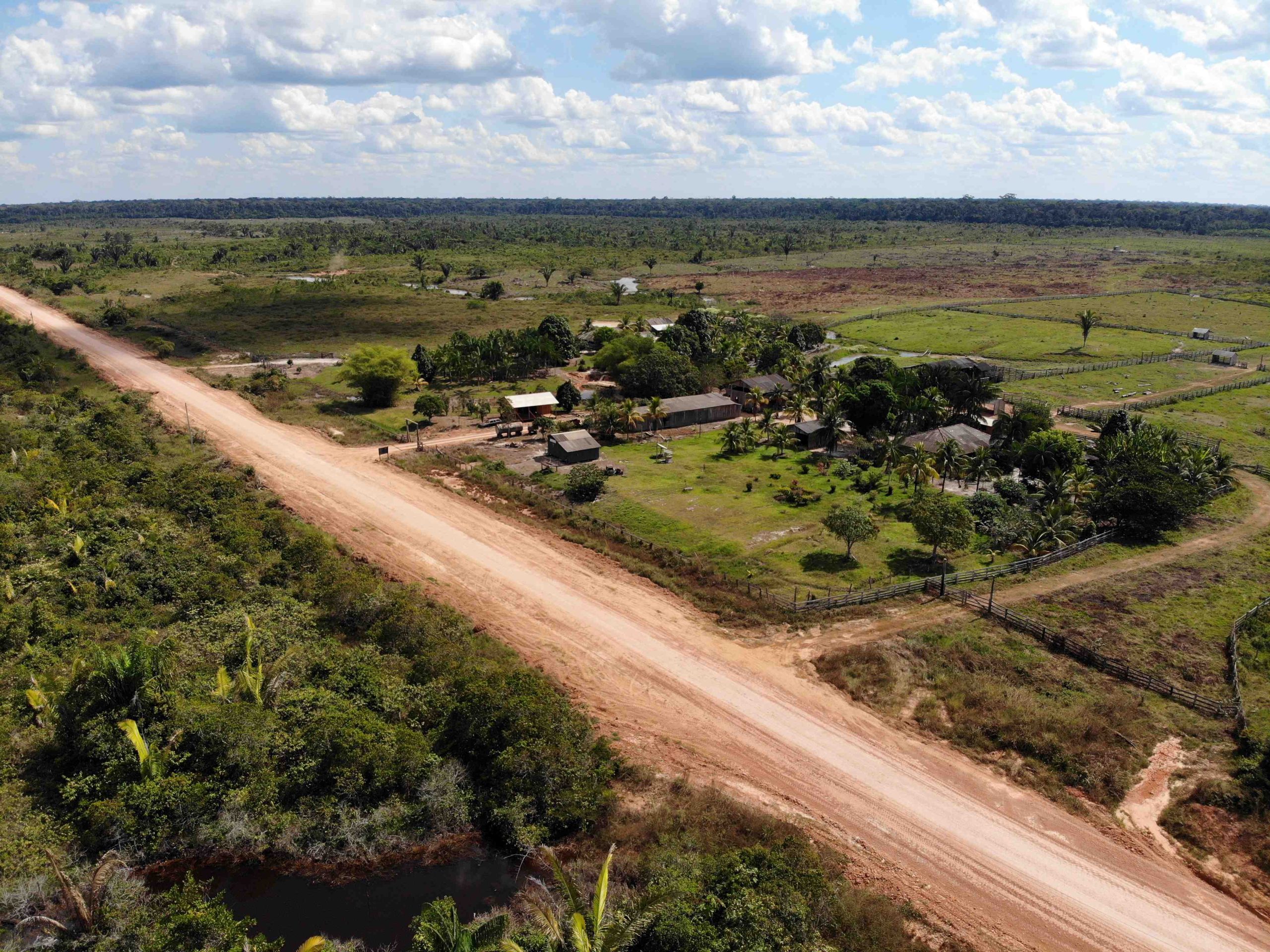 BR-319: avanço de ramais ameaça áreas protegidas na Amazônia