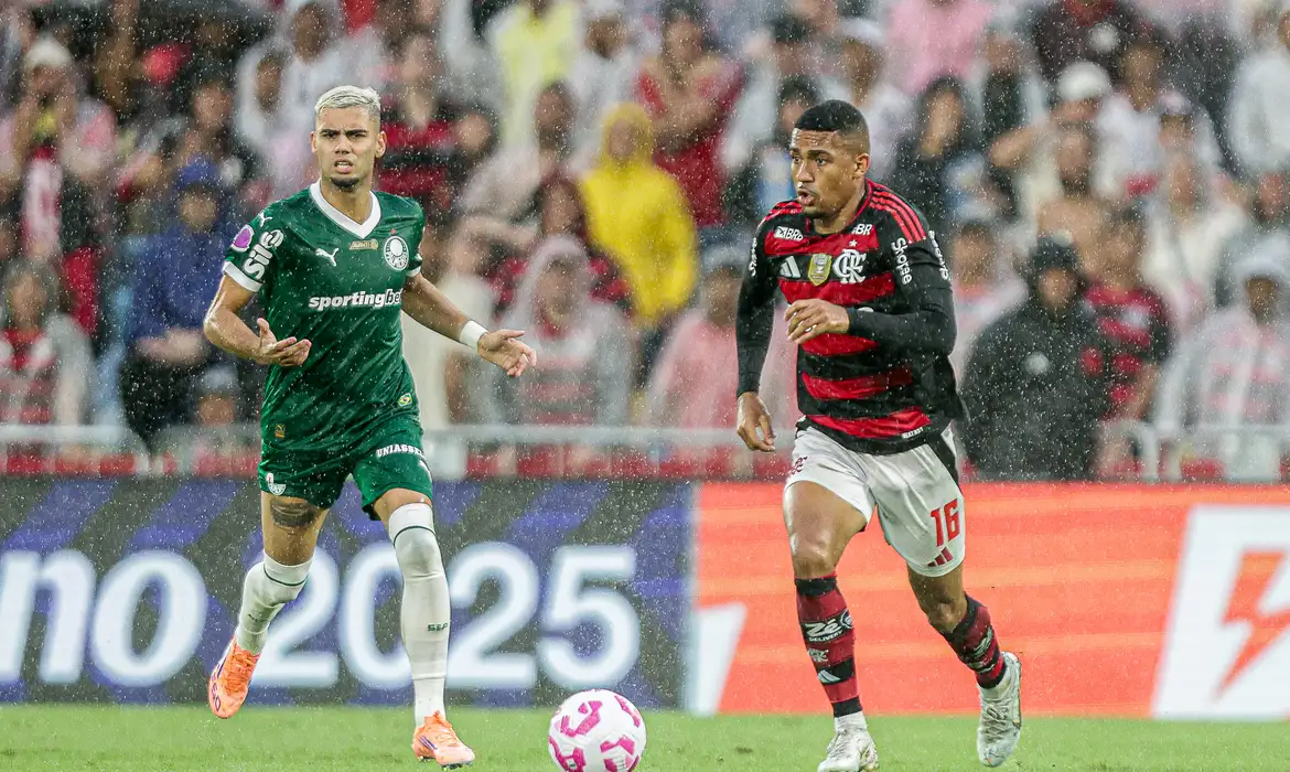 Palmeiras e Flamengo decidem 1º tetra brasileiro na Libertadores neste sábado (29)