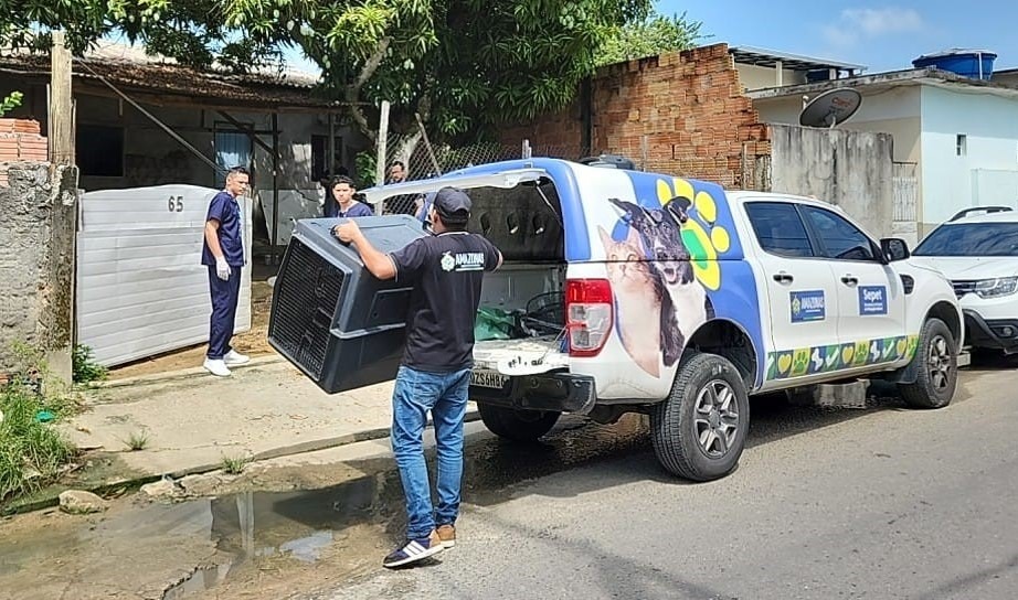 Mulher é presa por maus-tratos a dois cachorros em Manaus