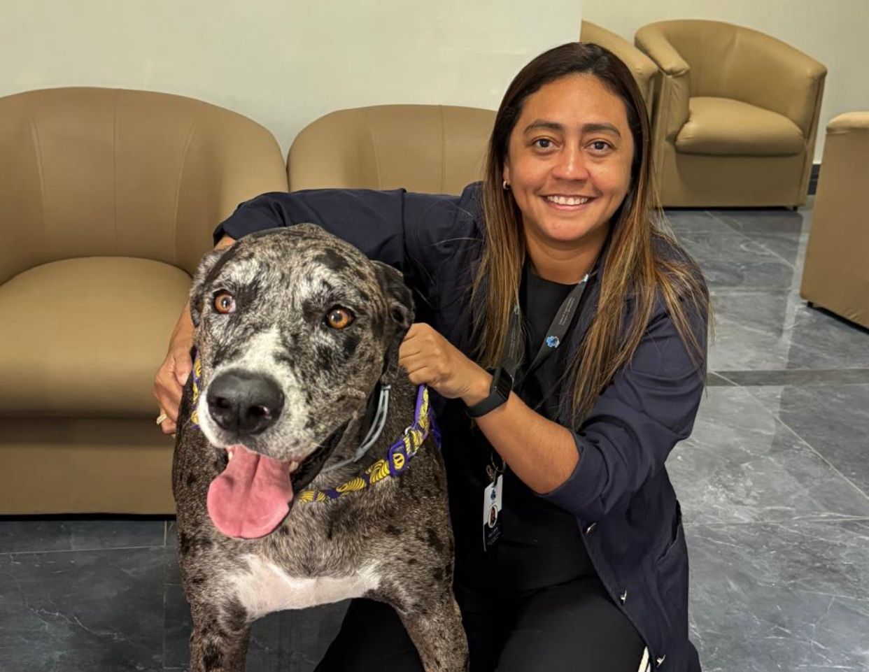Saúde animal em foco: Novembro Azul alerta sobre câncer em pets