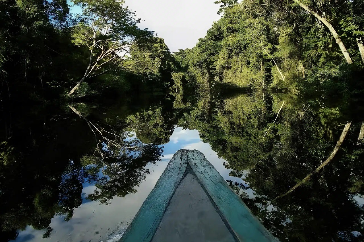 Projeto coloca jovens amazônicos na linha de frente da ação climática