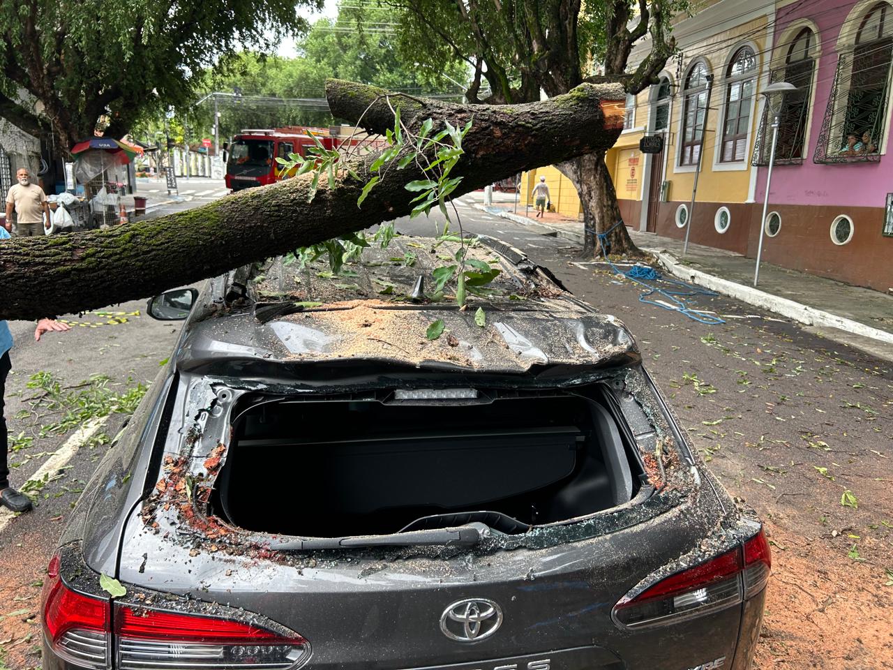 Tronco de árvore cai sobre carro no Centro de Manaus