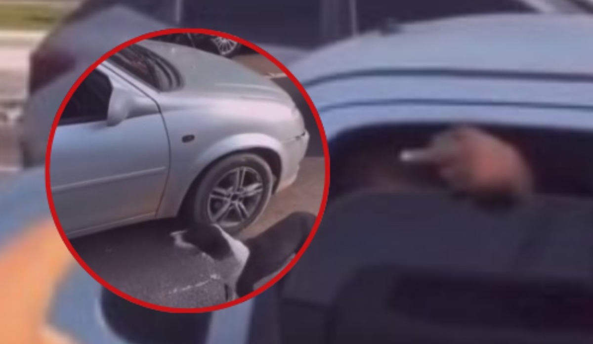 VÍDEO: motorista gera revolta ao abandonar cachorro em avenida de Manaus