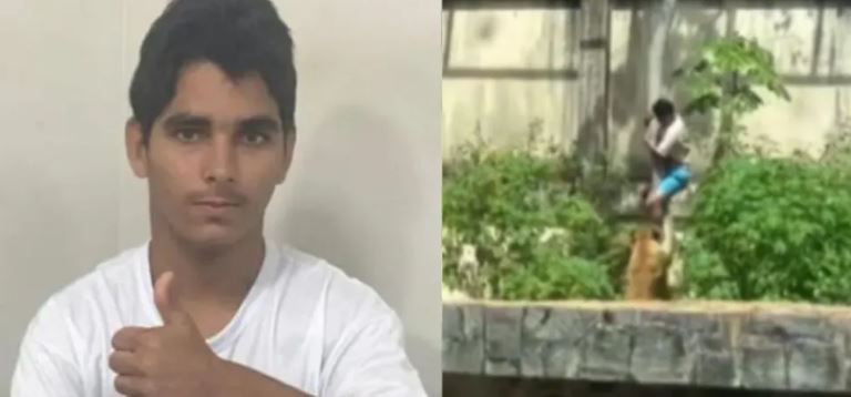 Saiba quem era o homem morto por leoa após invadir jaula em João Pessoa; veja vídeo