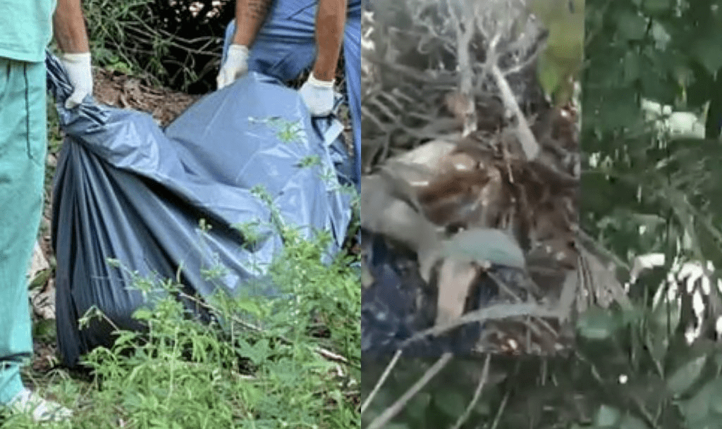 Cadáver com objeto inserido no ânus é encontrado no Tarumã