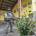 Seis bairros de Manaus entram em alerta por alto risco de infestação do mosquito da dengue