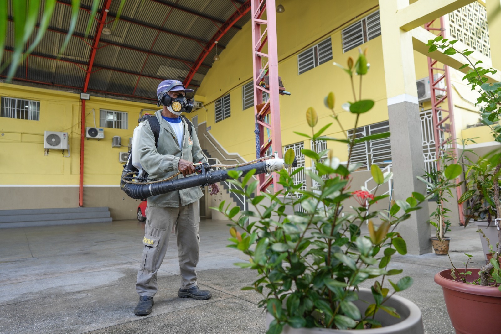 Seis bairros de Manaus entram em alerta por alto risco de infestação do mosquito da dengue