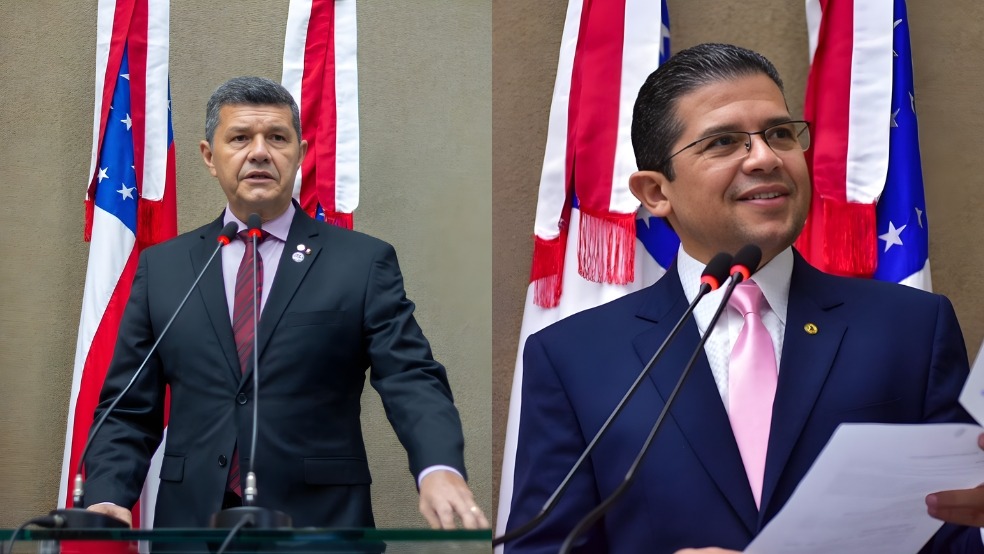 Pronunciamentos Aleam-capa