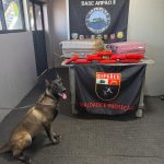 Mulher é presa com nove quilos de drogas avaliados em mais de R$ 450 mil