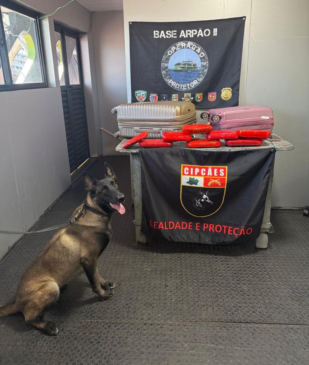 Mulher é presa com nove quilos de drogas avaliados em mais de R$ 450 mil