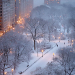 Nevasca histórica paralisa Nova York e cidades vizinhas nos Estados Unidos