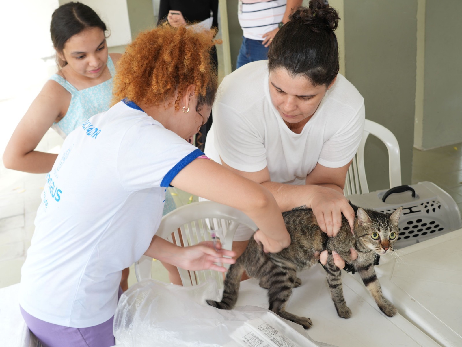 Proteja seu pet: vacinação gratuita contra raiva segue em Manaus