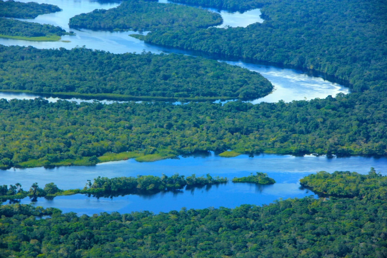 Amazonas tem novembro com menos focos de calor desde 2021