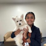 Fim de ano com pets: como garantir saúde e bem-estar