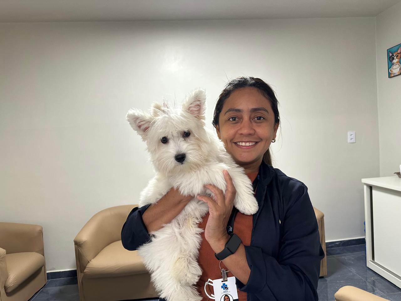 Fim de ano com pets: como garantir saúde e bem-estar