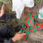 Força Tática apreende 24 tabletes de drogas enterrados em área de mata em Manaus