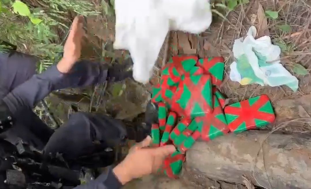 Força Tática apreende 24 tabletes de drogas enterrados em área de mata em Manaus