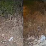 Menina é resgatada em terreno baldio após sofrer sequestro e abuso