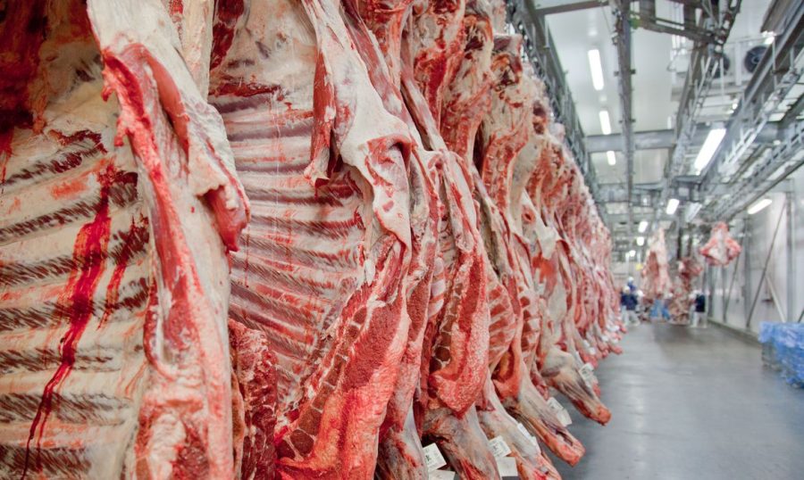 Exportação de carne bovina cai em volume, mas receita cresce
