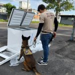 PF apreende 182 kg de drogas e armas dentro de freezers em caminhão de frete em Manaus