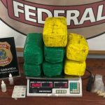 PF apreende 15 kg de pasta base de cocaína em caixas com bolachas e pirulitos no AM
