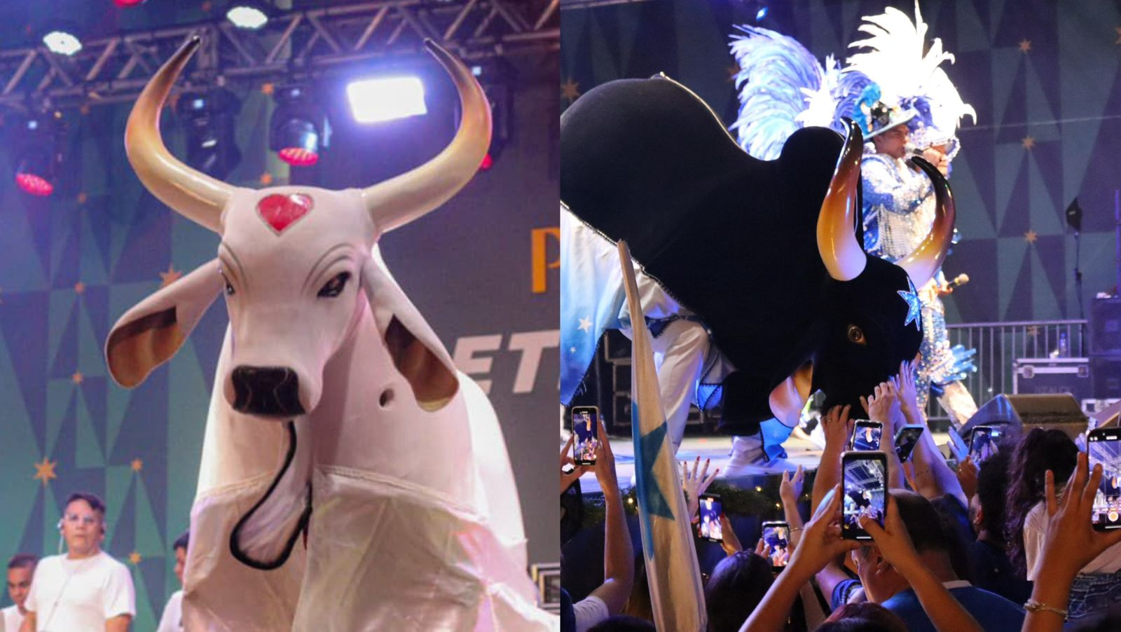 Caprichoso e Garantido encantam público na inauguração de Árvore de Natal no Rio