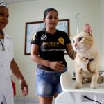 Esporotricose avança em Manaus e concentra maioria dos casos no AM; veja cuidados