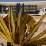 STF volta a julgar marco temporal na próxima quarta-feira