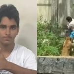 leoa zoológico Paraíba-capa