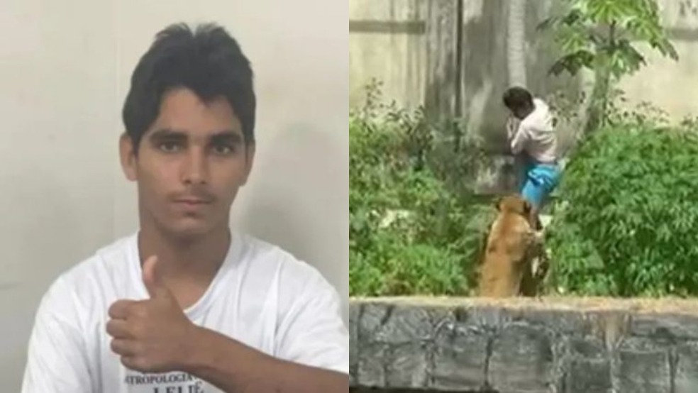 leoa zoológico Paraíba-capa