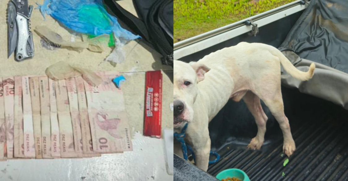 Homem é preso por tráfico de drogas e maus-tratos a animais no interior do AM