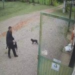 Câmera registra momento que jovem perdido no Pico Paraná chega à fazenda; veja