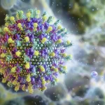 Nipah: saiba mais sobre o vírus que preocupa a Ásia