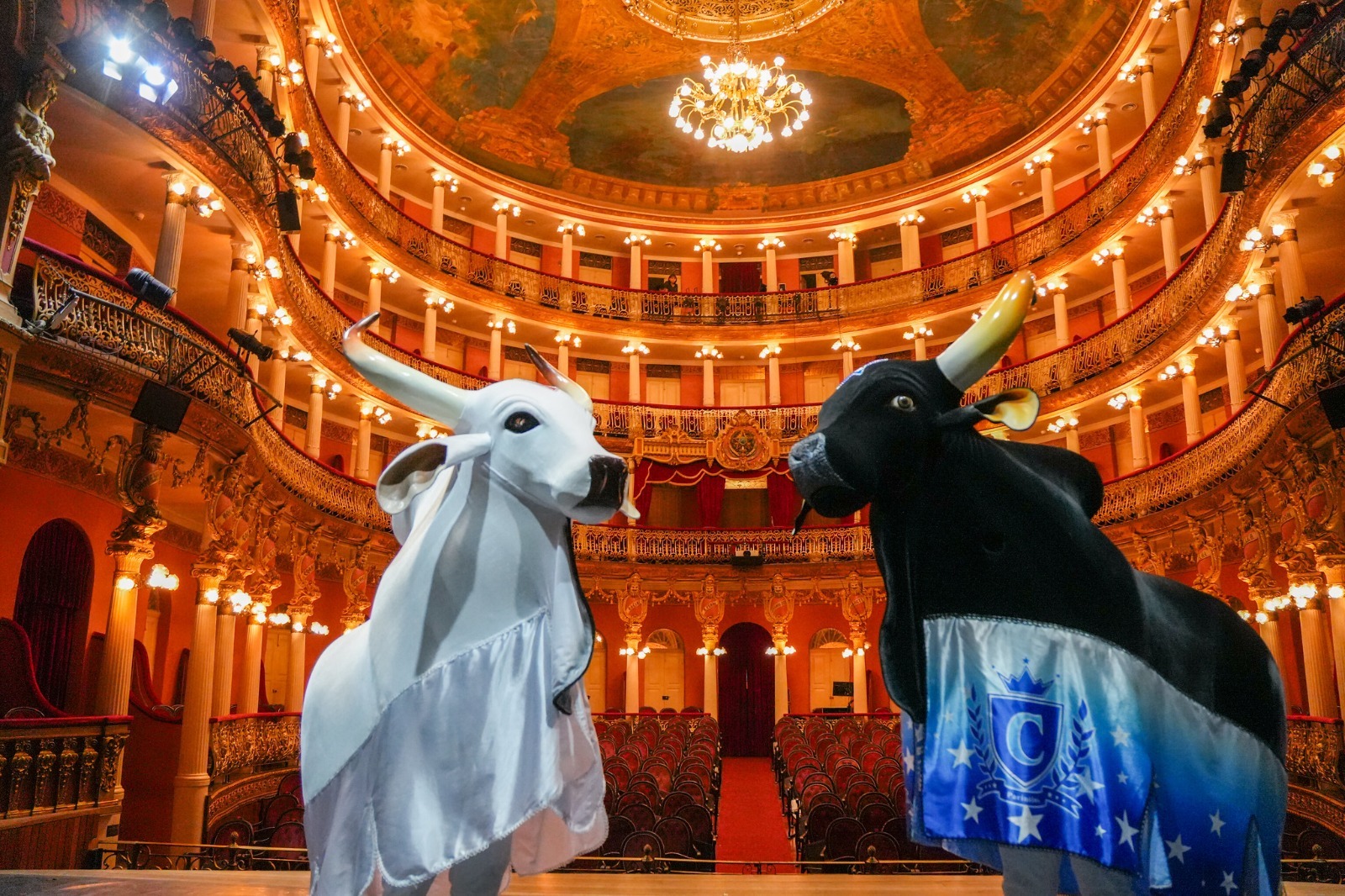 Inscrições para a 1ª Teia Amazonas começam nesta quinta-feira (22)