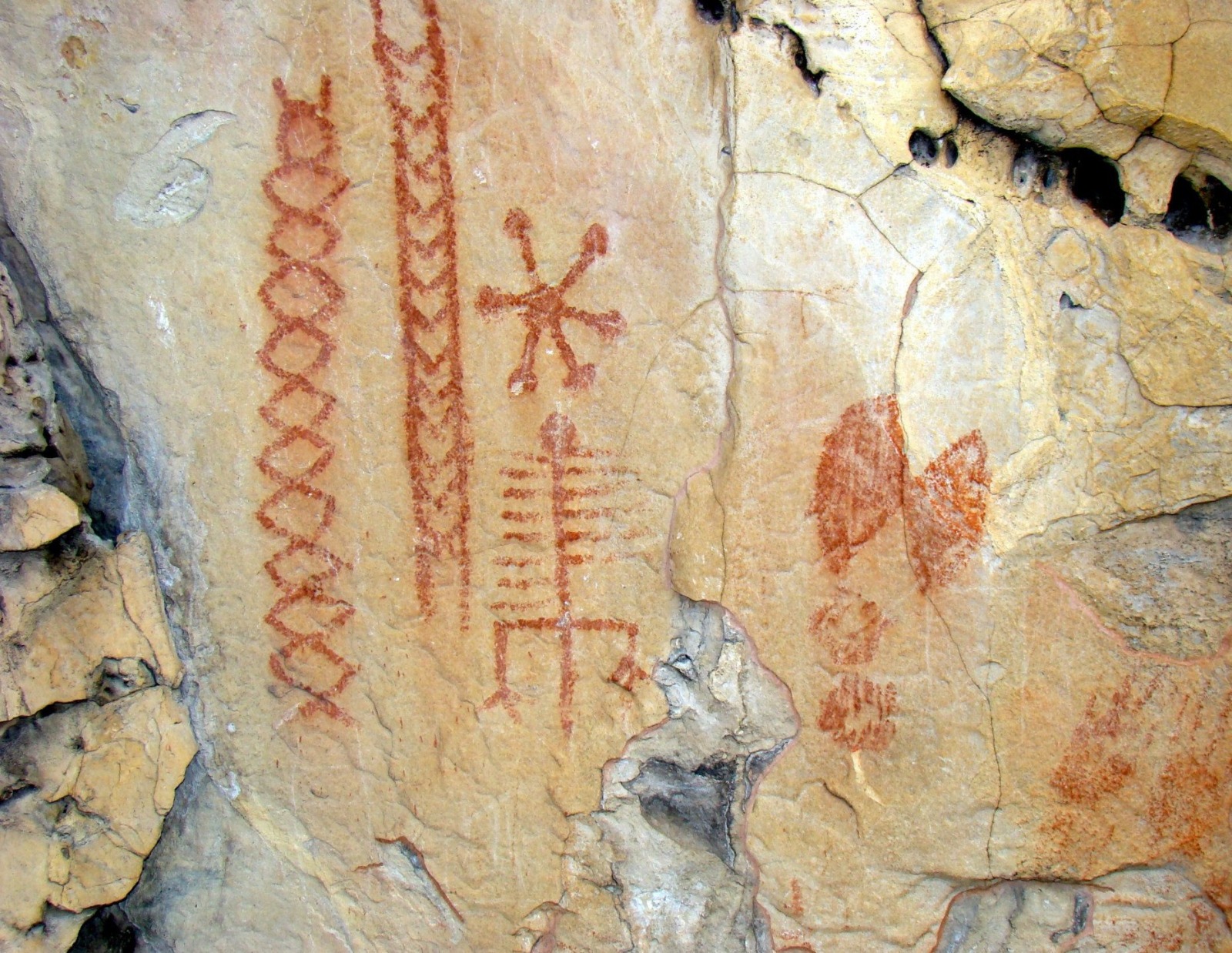 O Amazonas no centro da arqueologia proibida