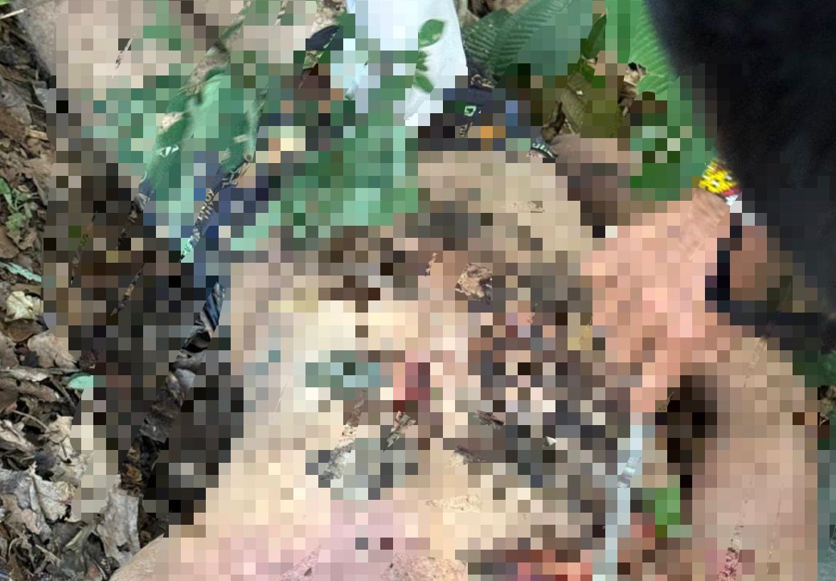 Corpo decapitado é encontrado após denúncia de execução por facção no interior do AM