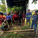 açaí fruta amazonas-capa