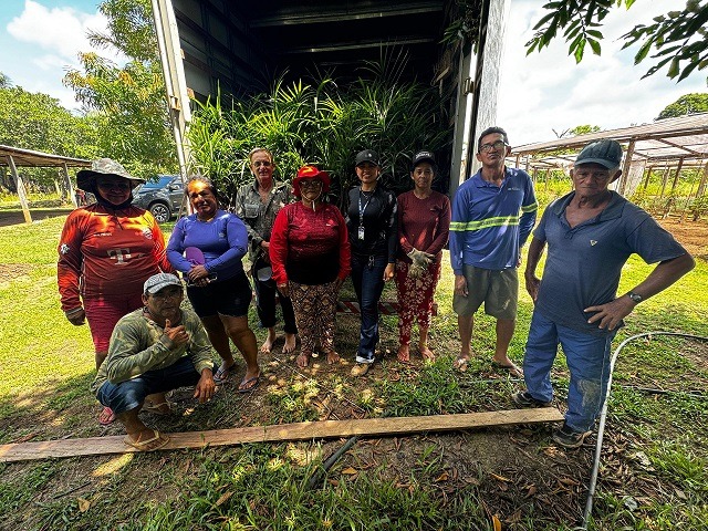 açaí fruta amazonas-capa