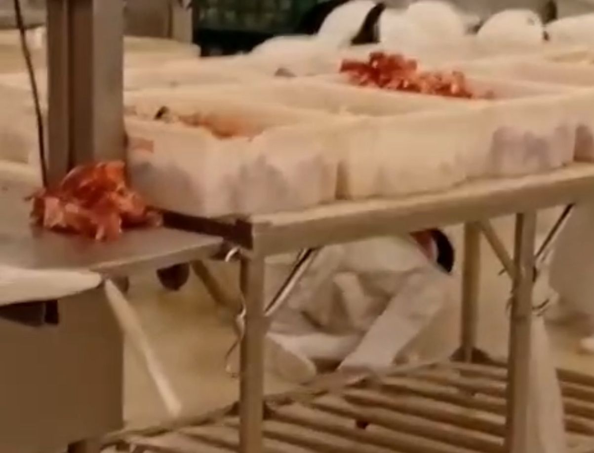 Vídeo mostra briga entre açougueiros em supermercado de Manaus