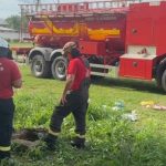 Criança de 3 anos morre após cair em fossa aberta no interior do AM