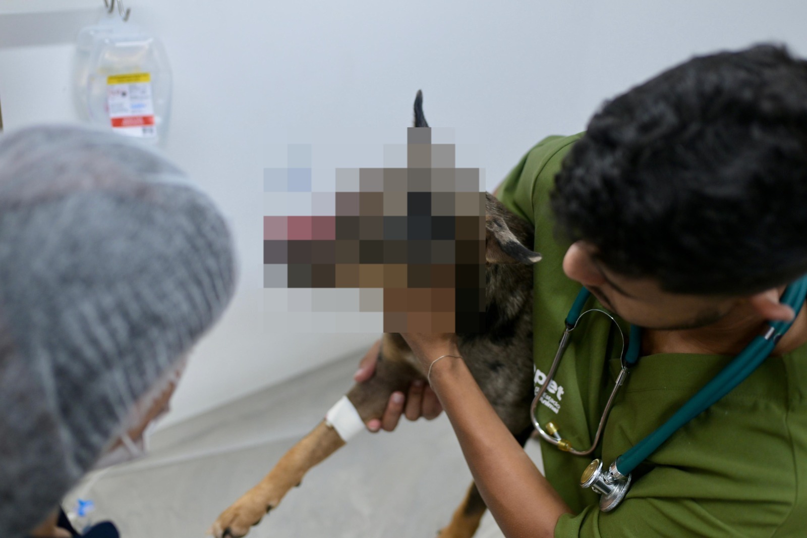 Cachorro leva terçadada no focinho e passa por cirurgia em Manaus