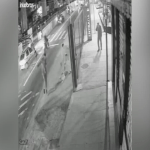 Cachorro é morto a tiros após homem se irritar com latidos