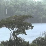 Chuvas intensas em Manaus elevam alerta para possível enchente no AM